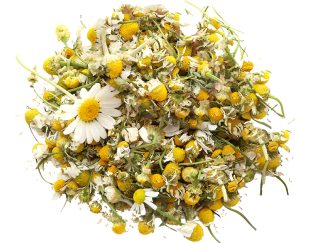 Chamomile