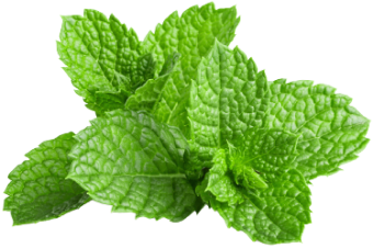 Peppermint