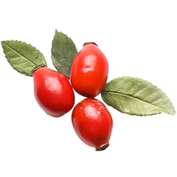 Rose Hips